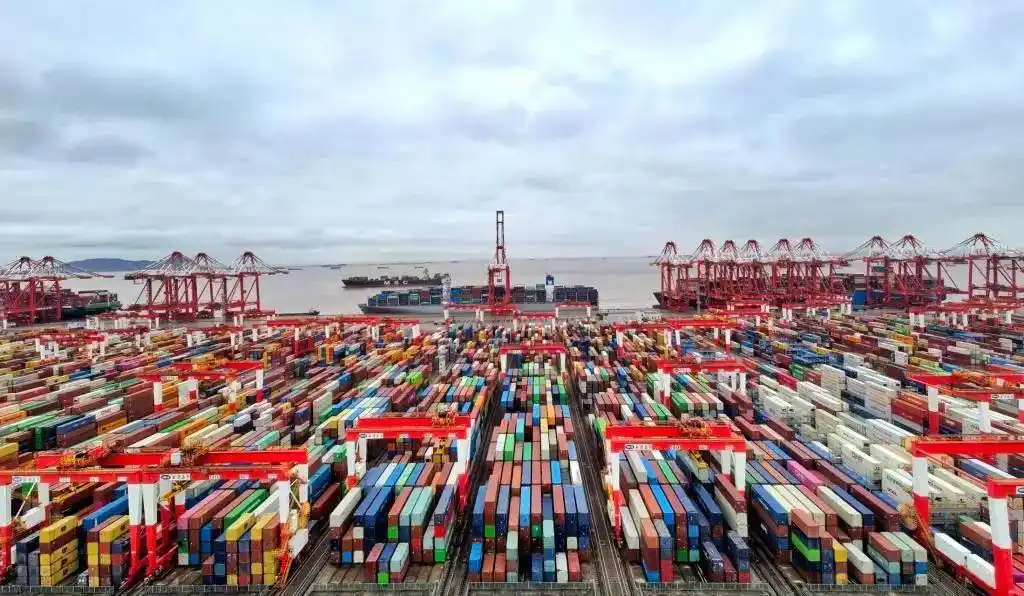 172395TEU！上海港單晝夜箱量創新高